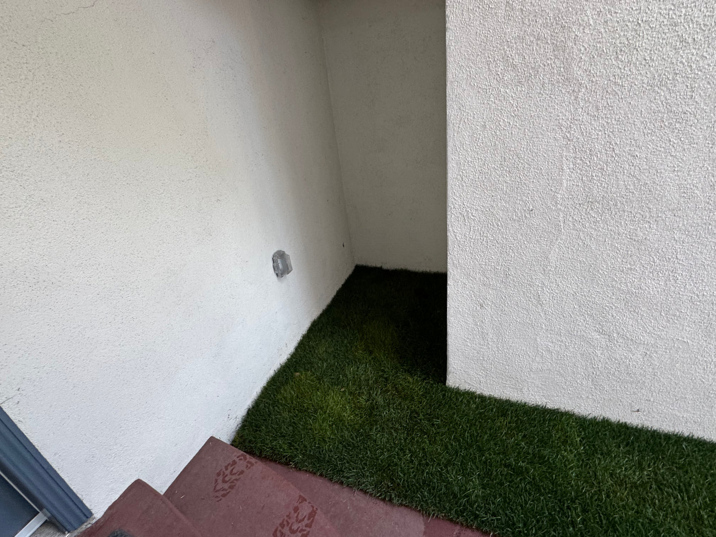 Marathon Lite Natural Grass Pee Pad - For Porches and Balconies