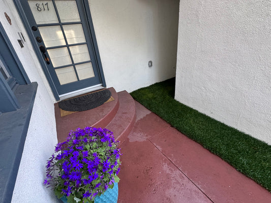 Marathon Lite Natural Grass Pee Pad - For Porches and Balconies